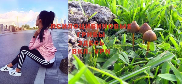 марки lsd Куйбышев